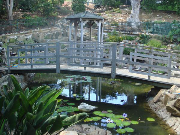 We provide professional pond service and assessment when evaluating problems so 
