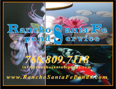 Rancho Santa Fe Pon Service, Koi Ponds, North County Ponds, Fountain repair,